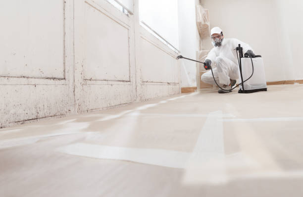 24/7 Emergency Attic Mold Remediation experts in Cream Ridge, NJ