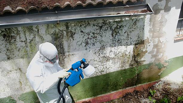 Top rated local Attic Mold Remediation specialists in Cream Ridge, NJ